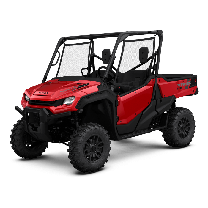 Pioneer 1000-3P Deluxe